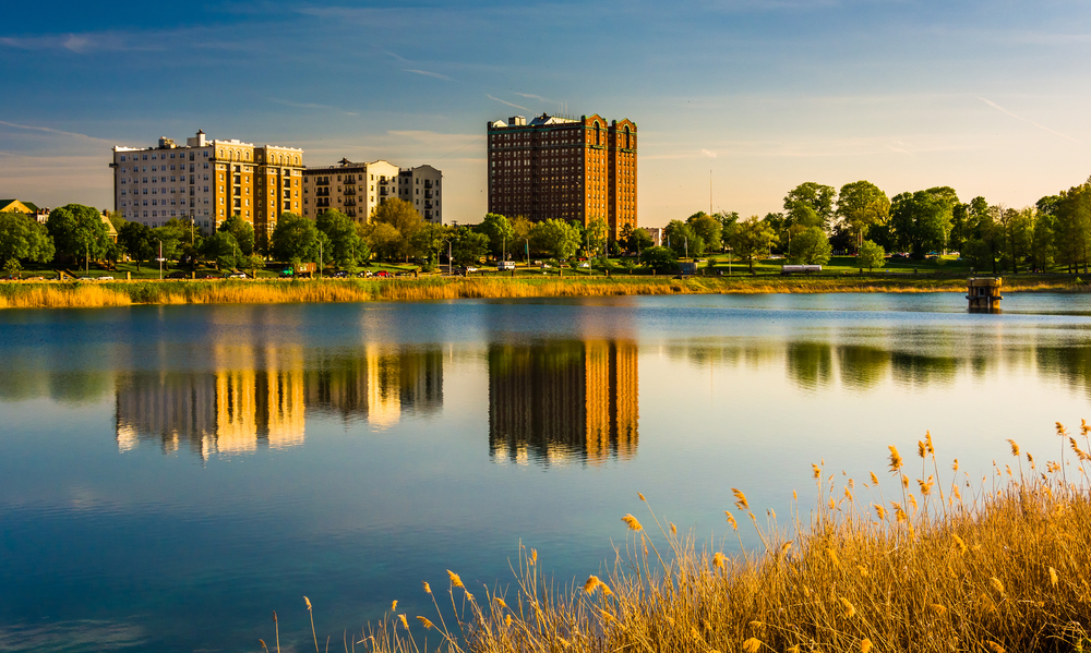 Grasses,And,Reflections,In,Druid,Lake,,At,Druid,Hill,Park,