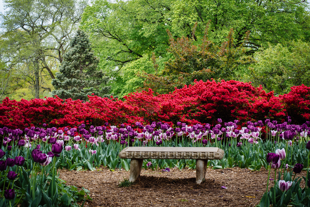 Bench,And,Gardens,At,Sherwood,Gardens,Park,,In,Guilford,,Baltimore,