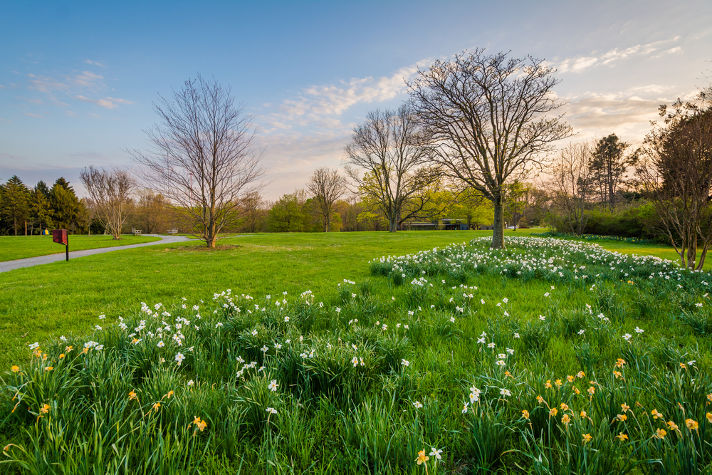 Flowers,And,Trees,At,Cylburn,Arboretum,In,Baltimore,,Maryland.