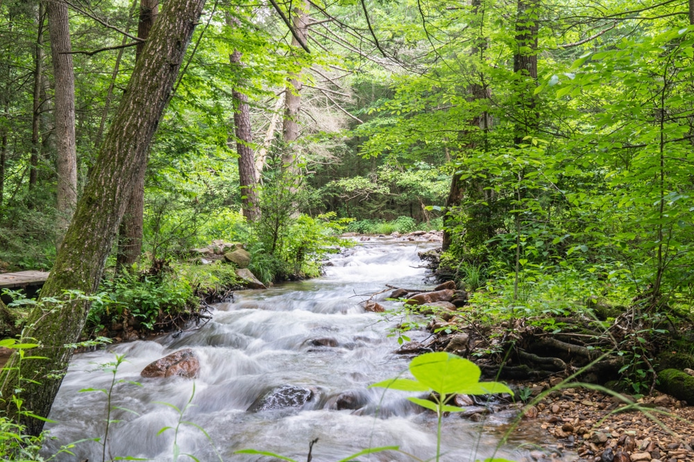 Baltimore,,Md,/,Usa,-,June,2018:,Backpacking,,Camping,,And